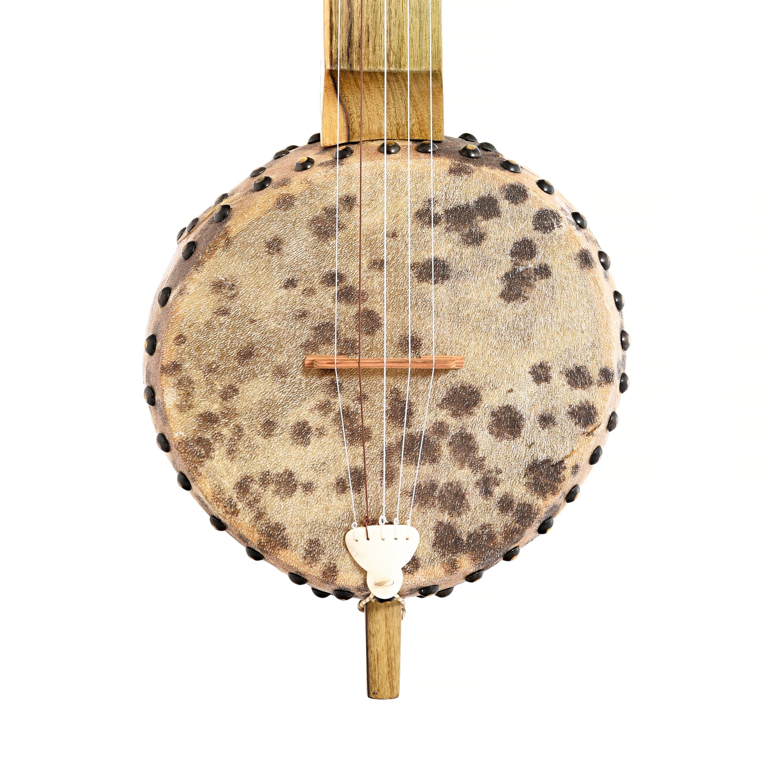 Image 1 of Menzies Fretless Gourd Banjo #476- SKU# MGB85-476 : Product Type Other Banjos : Elderly Instruments