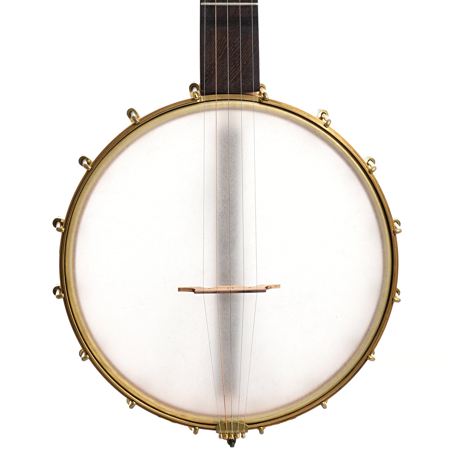 Image 1 of Dogwood Banjo Co. 11" Openback Banjo, No. 175 - SKU# DW175 : Product Type Open Back Banjos : Elderly Instruments