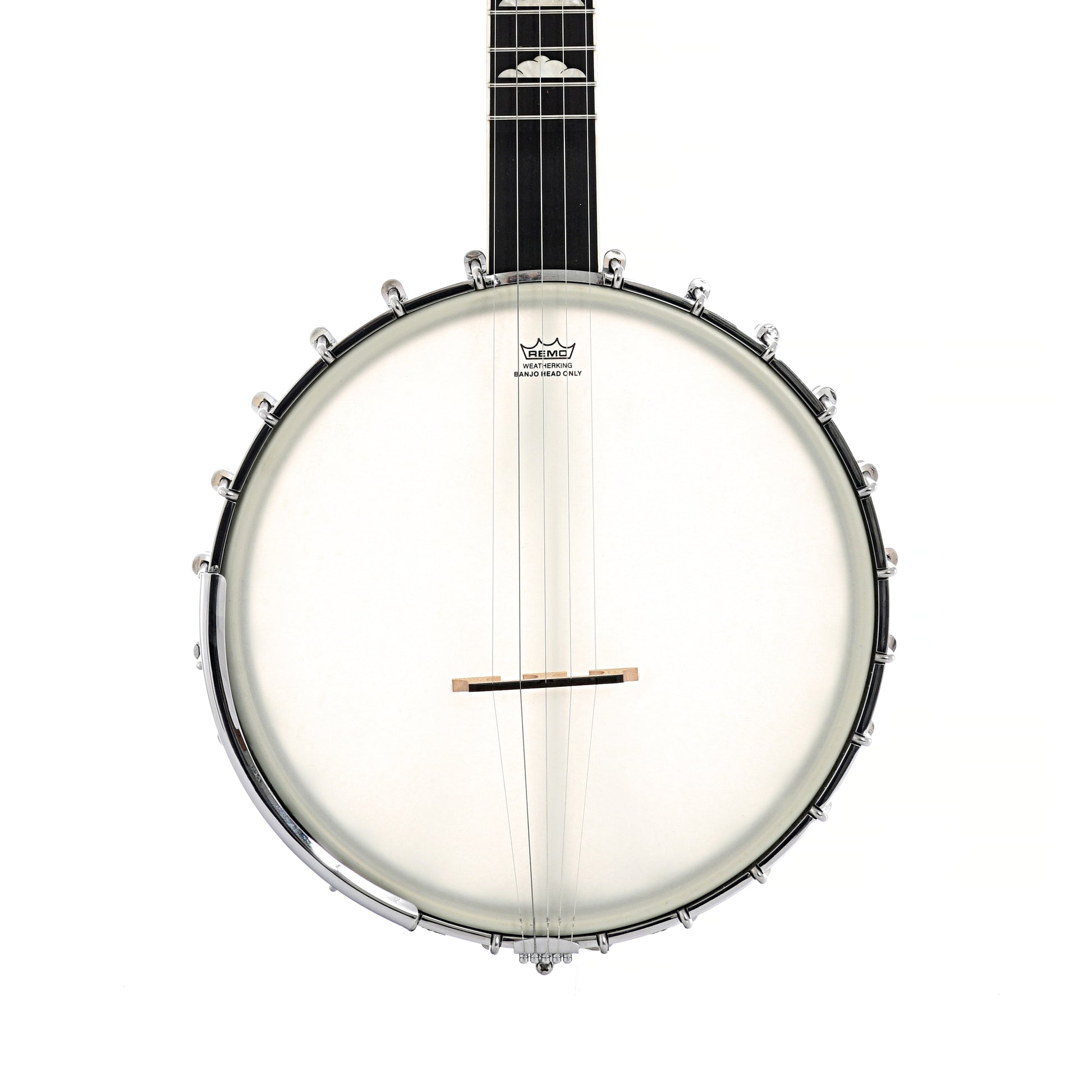 Front of Gold Tone WL-250 Whyte Laydie Openback Banjo