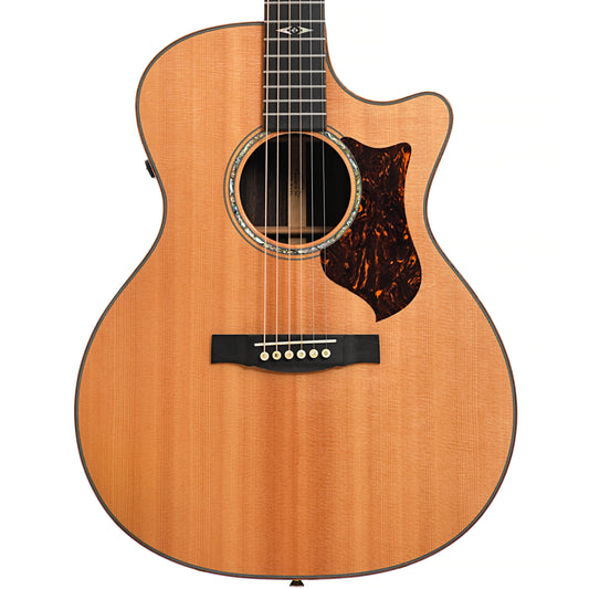 Front of Martin GPCPA1 Performing Artist 