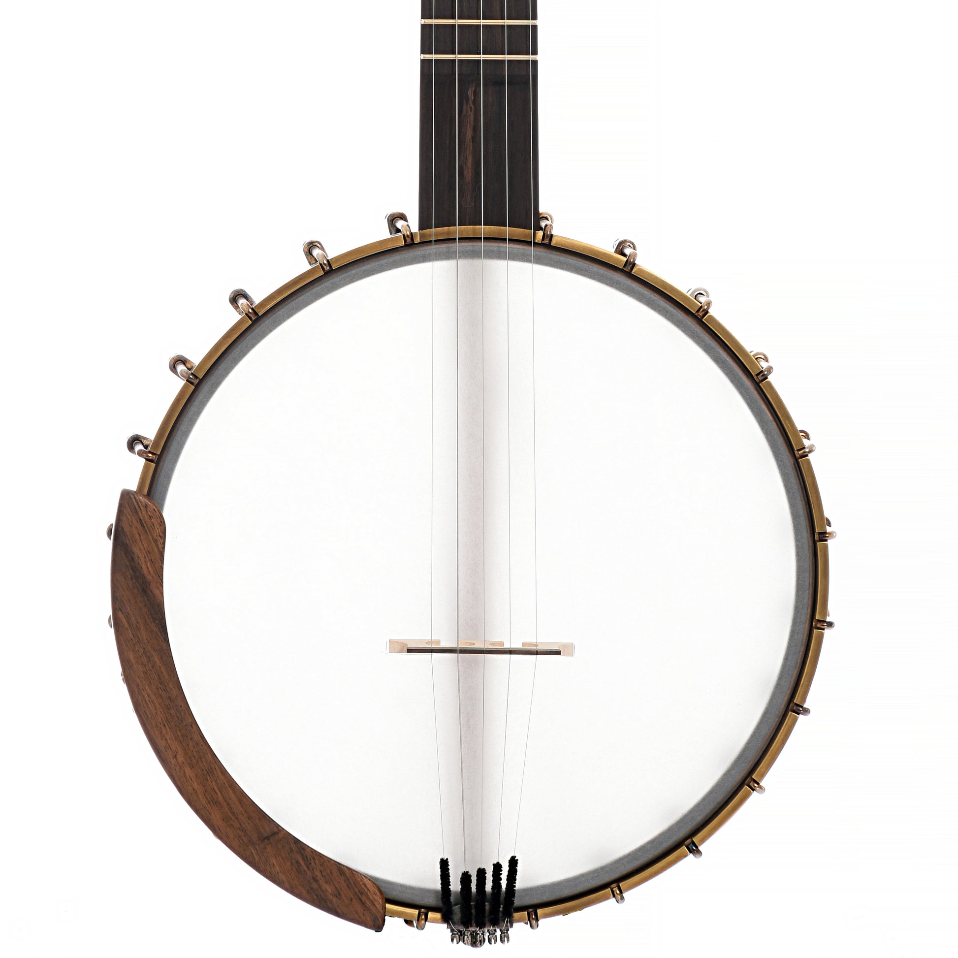 Front of Ode Magician 11" Openback Banjo