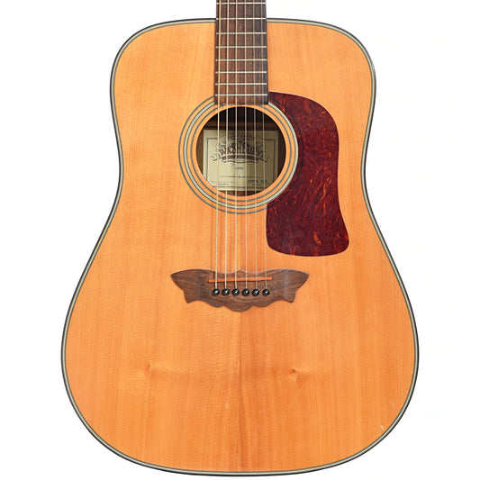 Washburn D29S Acoustic Guitar (1998)