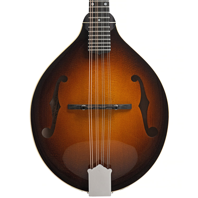 Front of  of Pava A5 Player Model A-Mandolin 