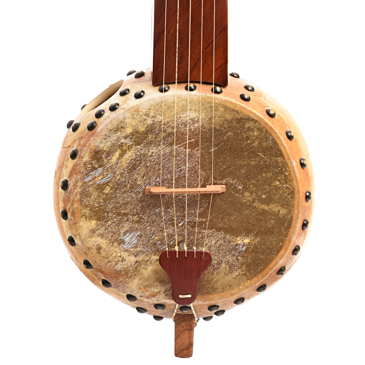 Image 1 of Menzies Fretless Gourd Banjo #460 - SKU# MGB85-460 : Product Type Other Banjos : Elderly Instruments