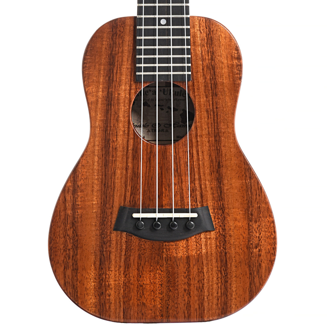 Shop Quality Musical Instruments for Every Player | Elderly Instruments