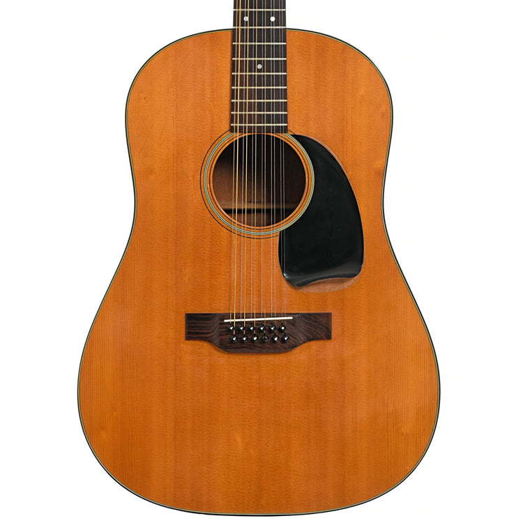 Front of Martin D12-20 12-String 