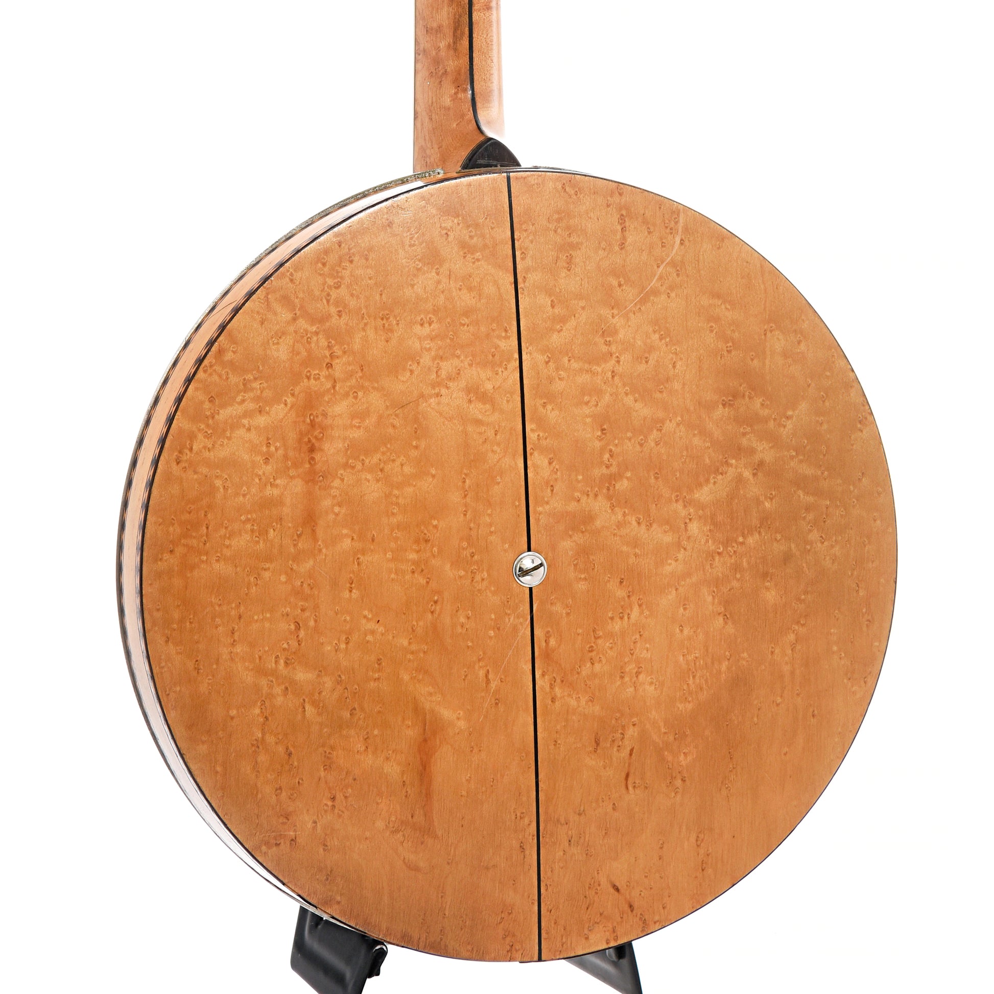 Back and side of Washburn Style 5179 Classic Tenor Banjo 