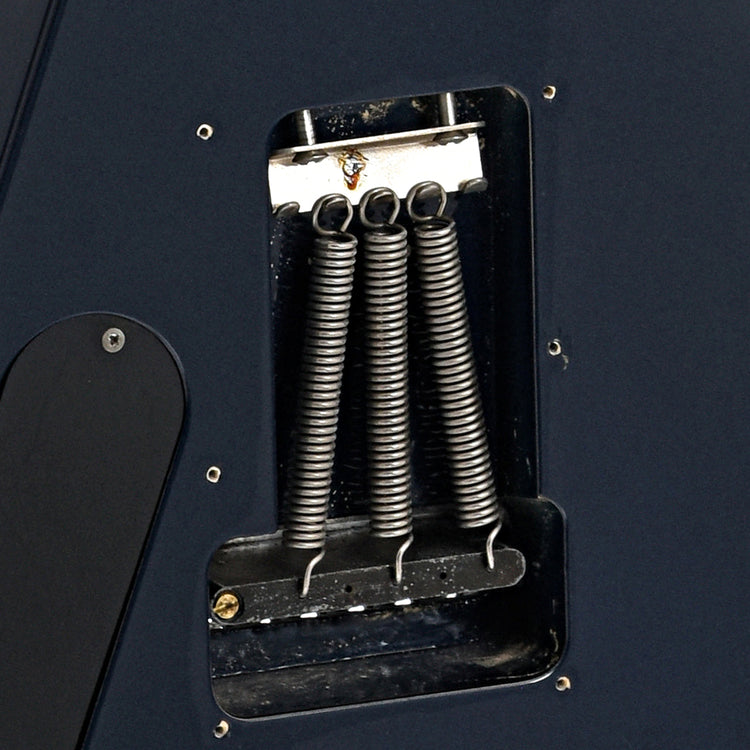 Tremolo springs of Jackson RR2 Professional