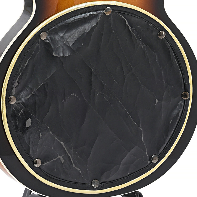 Back detail of Gretsch 6072-68 Broadcaster Bass