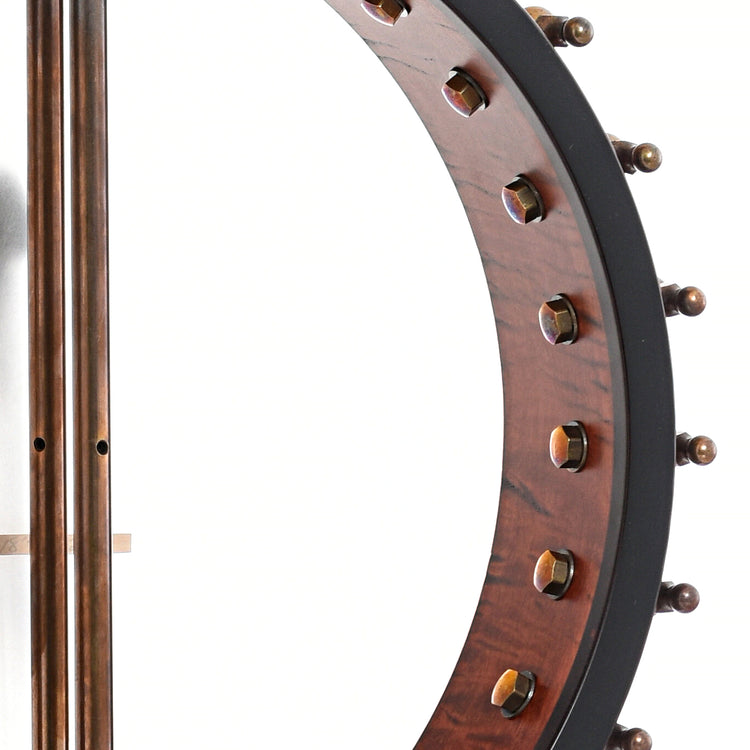 Image 10 of Ome Celtic 12" Tenor Banjo & Gigbag, Curly Maple, Dark Stain- SKU# CELT19-CM12D : Product Type Tenor & Plectrum Banjos : Elderly Instruments