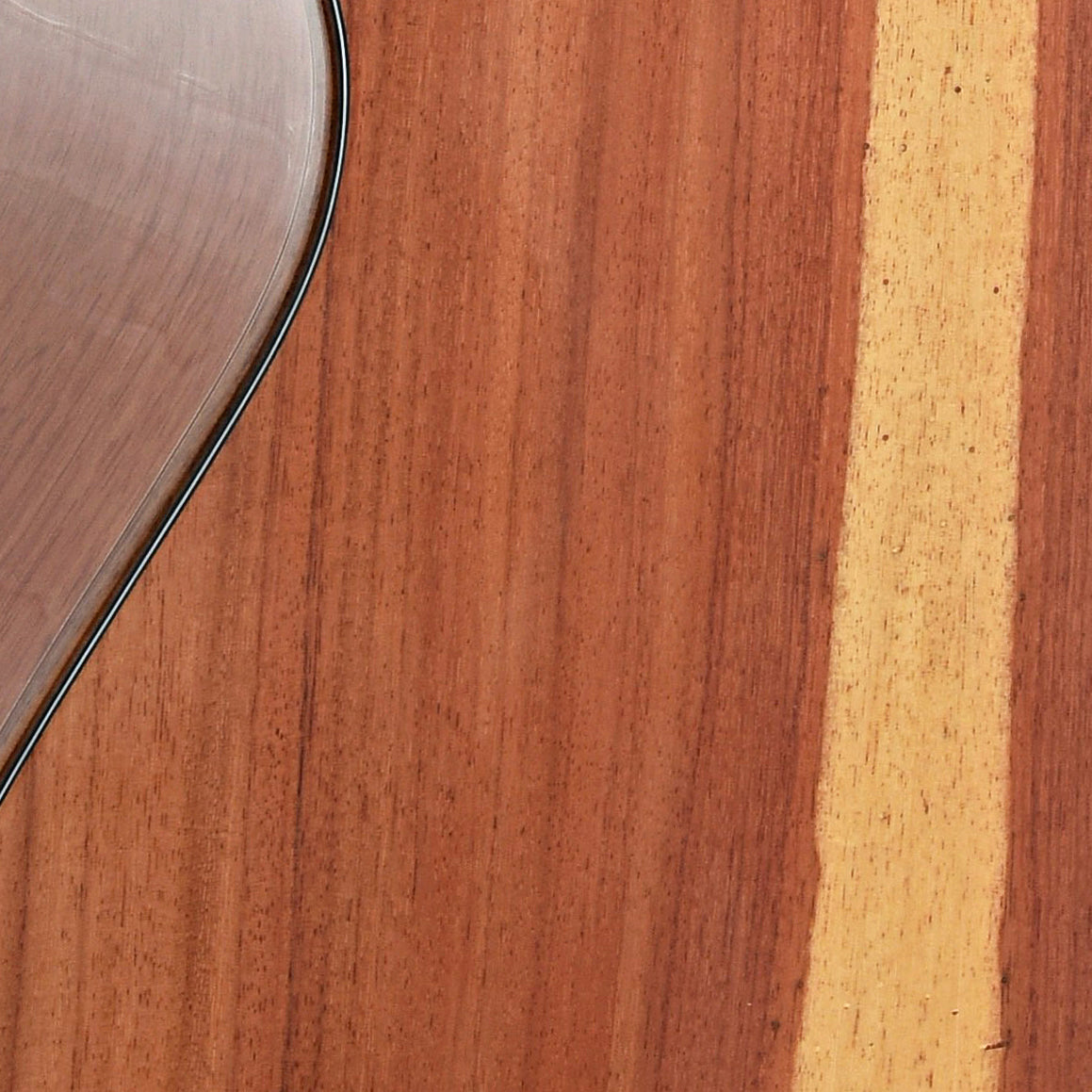 Image 12 of Breedlove Jeff Bridges Amazon Concert Sunburst CE Torrefied European - Granadillo Acoustic-Electric Guitar - SKU# BJB-AMZ : Product Type Flat-top Guitars : Elderly Instruments