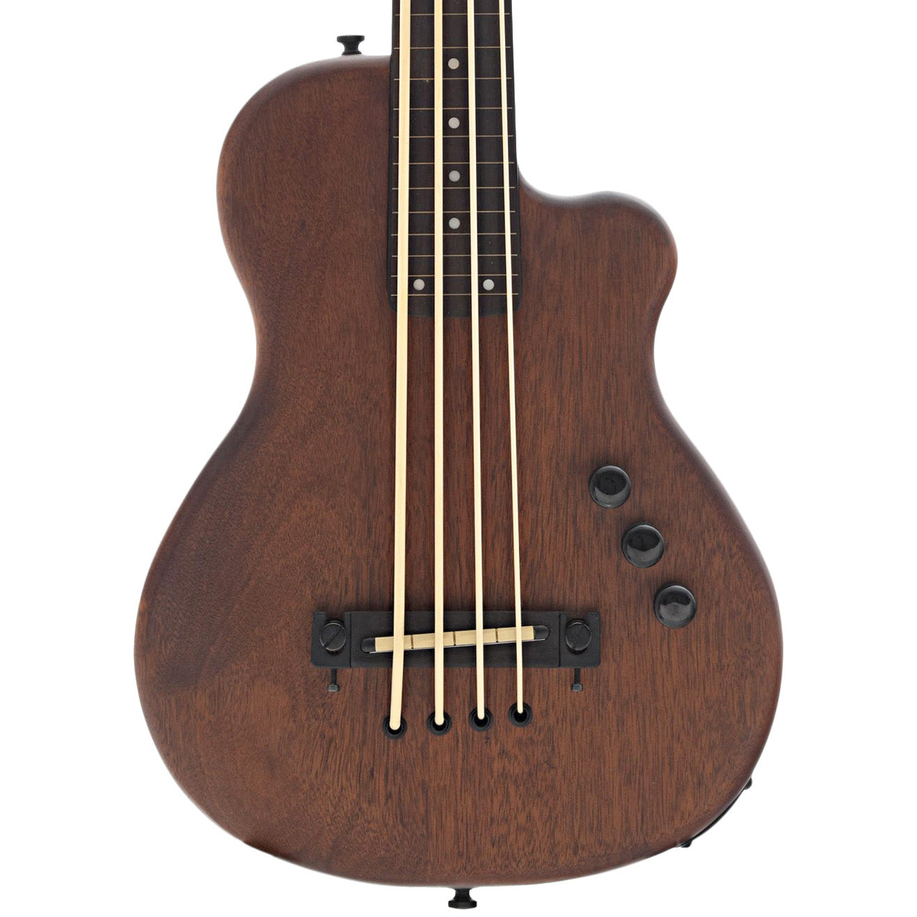Front of Gold Tone ME-BassFL Fretless Solid Body MicroBass