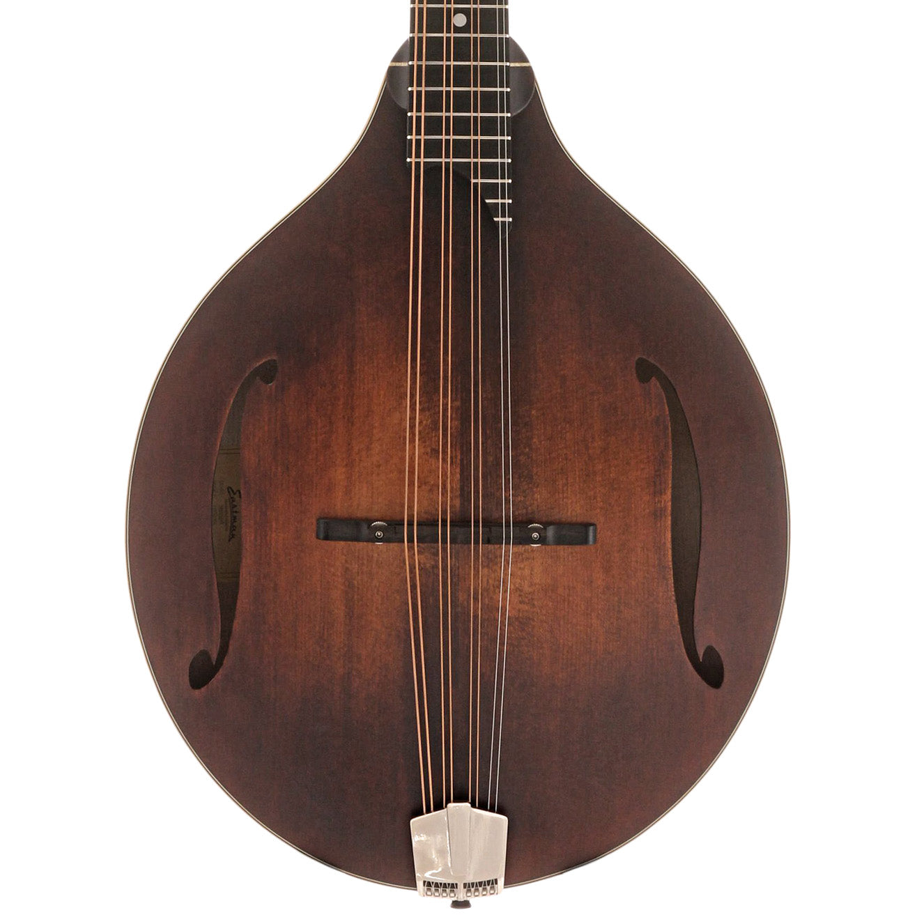 Octave Instrument Octave Mandolin For Sale and Irish Bouzoukis | Elderly Instruments