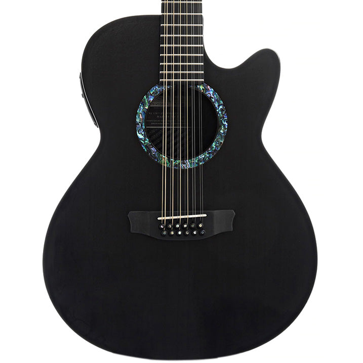 Image 1 of Rainsong WS3000 12-String Guitar & Case, Baggs Element Pickup- SKU# CO-WS3000 : Product Type 12-String Guitars : Elderly Instruments