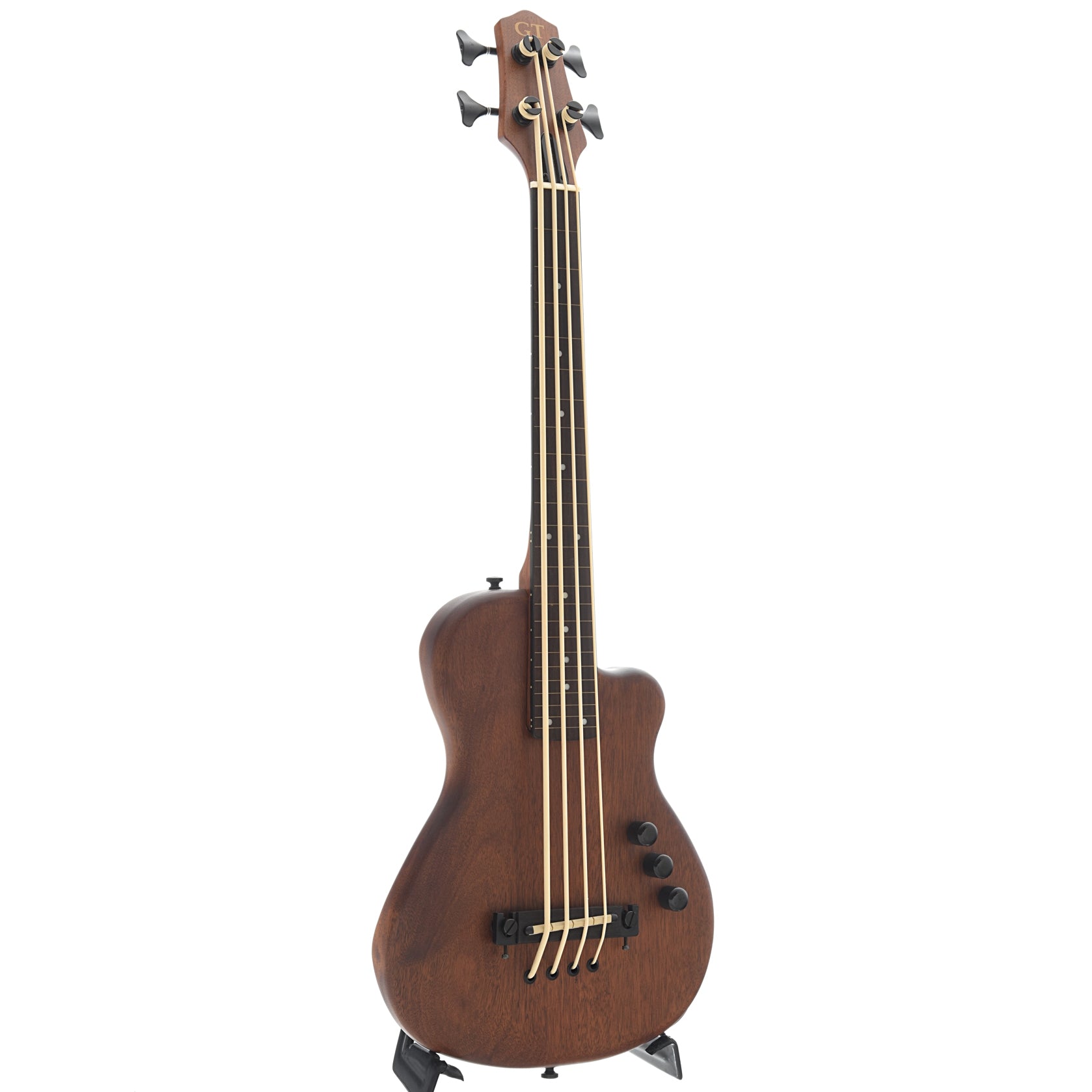 full front and side of Gold Tone ME-BassFL Fretless Solid Body MicroBass