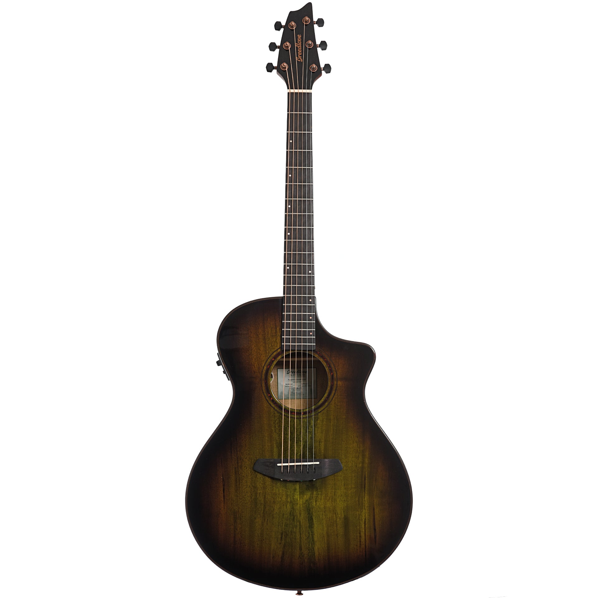 Full front of Breedlove Pursuit Exotic S Concert Earthsong CE Myrtlewood