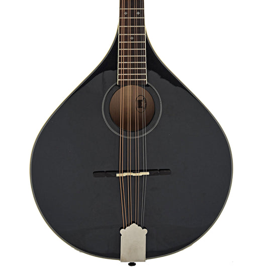 Front of Trinity College Octave Mandolin
