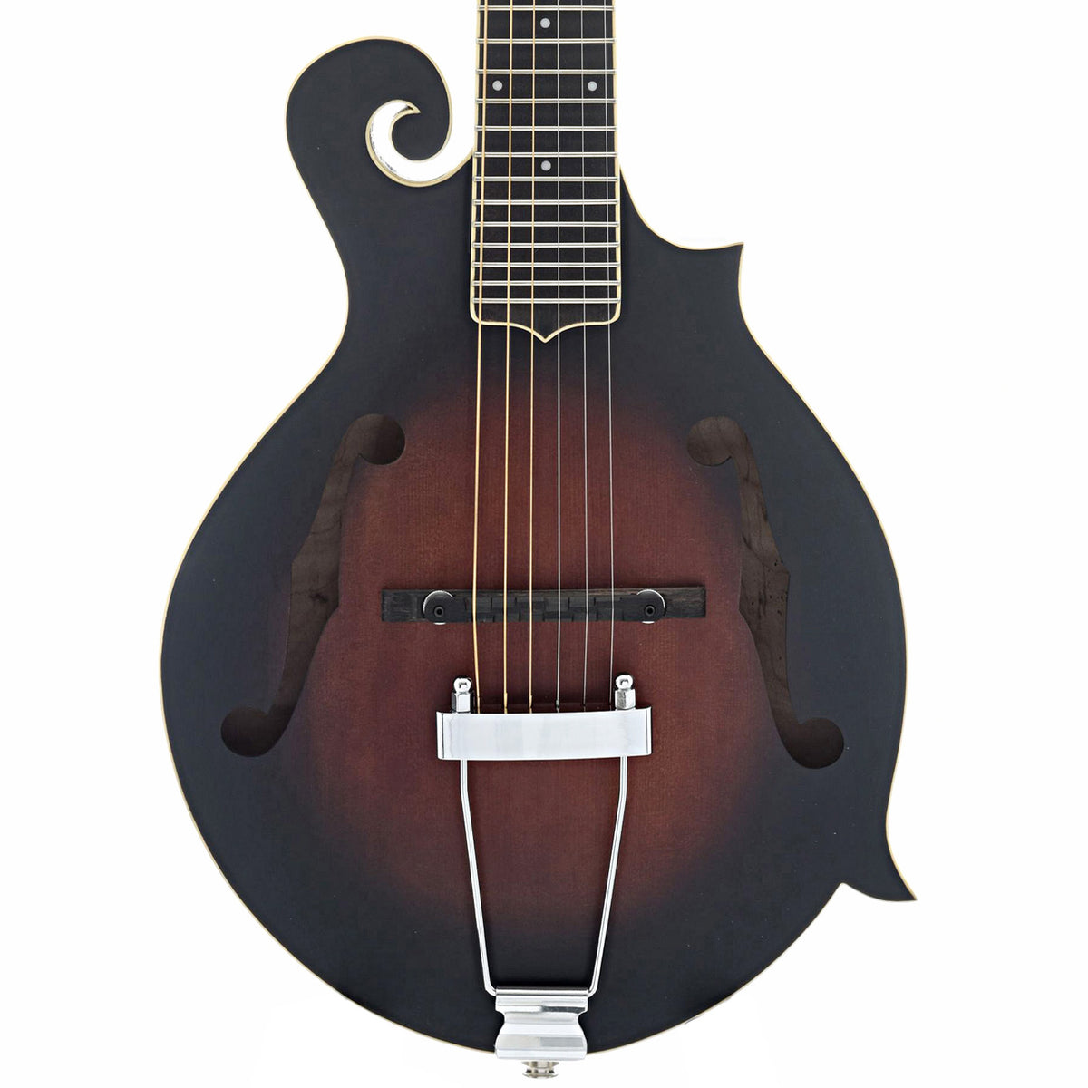 Manditar Instrument Gold Tone F-6 Acoustic-Electric 6-String Manditar & Case – Elderly ...