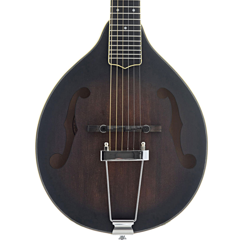 Manditar Instrument Gold Tone A-6 Manditar & Gigbag – Elderly Instruments
