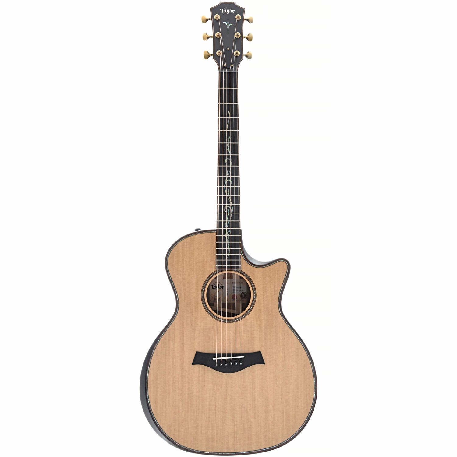 Full front of Taylor Builder's Edition K14ce Acoustic