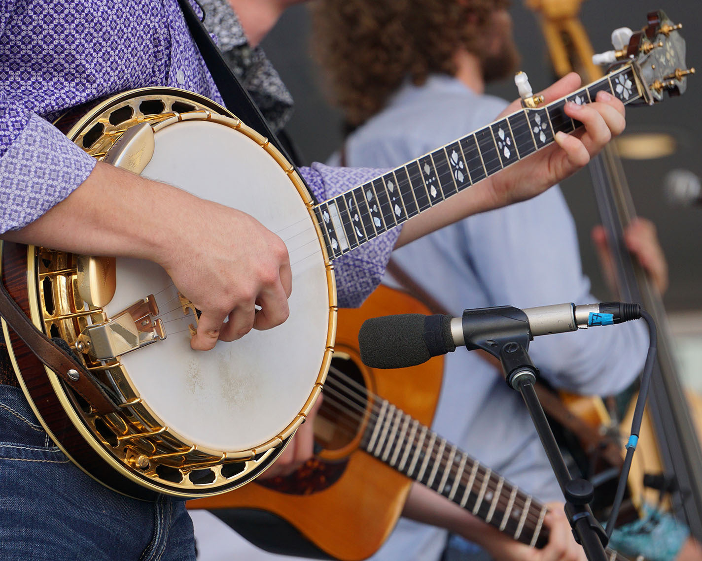 Bluegrass Jam | Third Thursday of every month – Elderly Instruments
