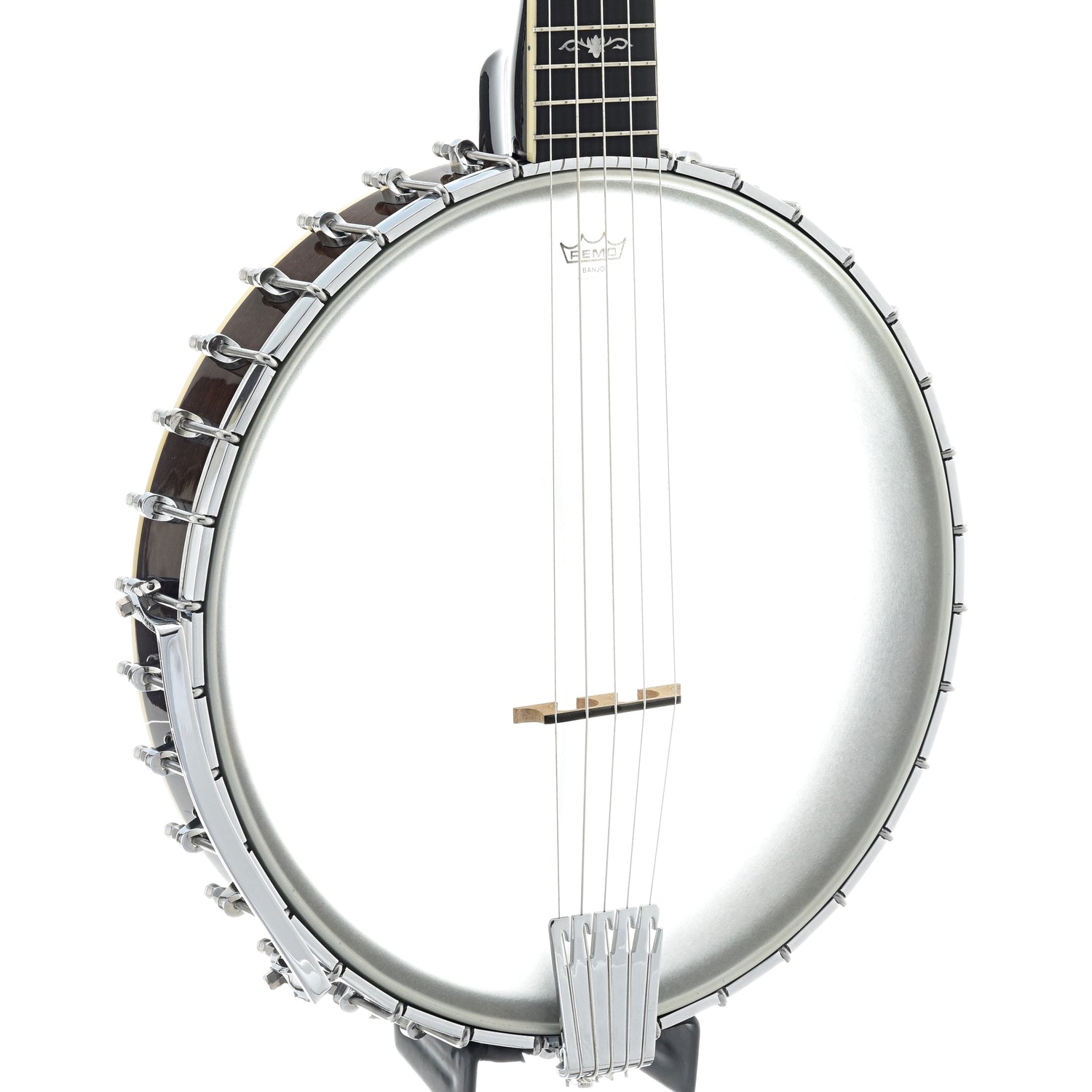 Front and Side of Gold Tone CEB-5 5-String Cello Banjo 