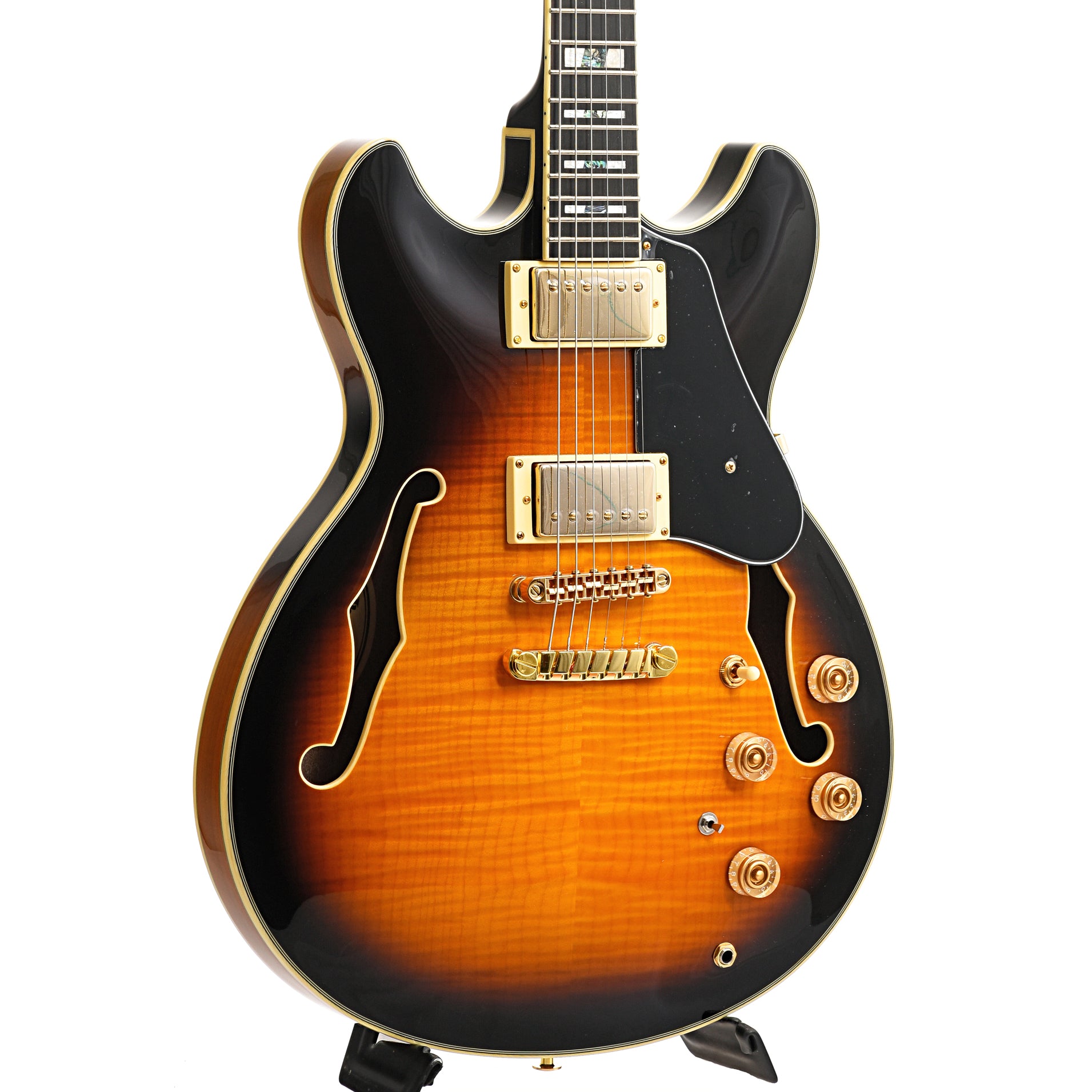 Front and Side of Ibanez JSM10 Semi-Hollowbody Guitar