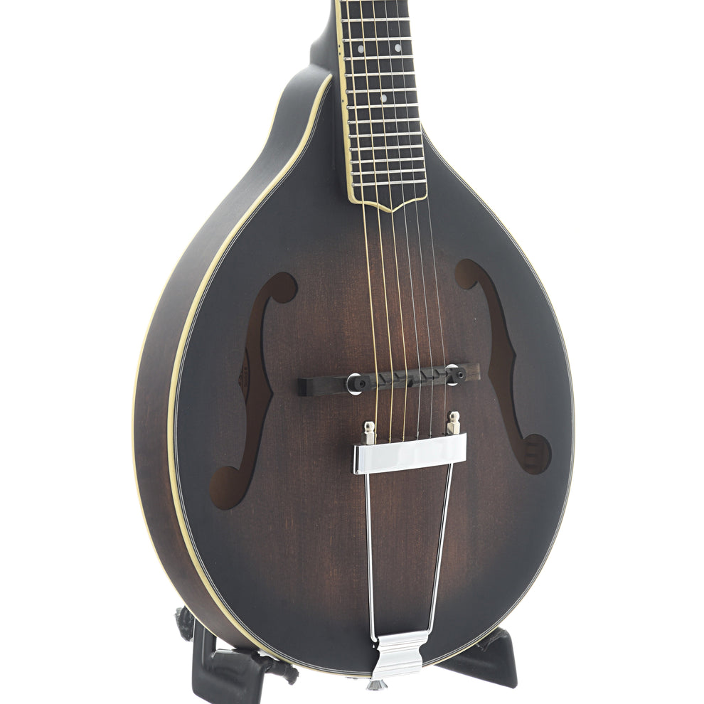 Manditar Instrument Gold Tone A-6 Manditar & Gigbag – Elderly Instruments