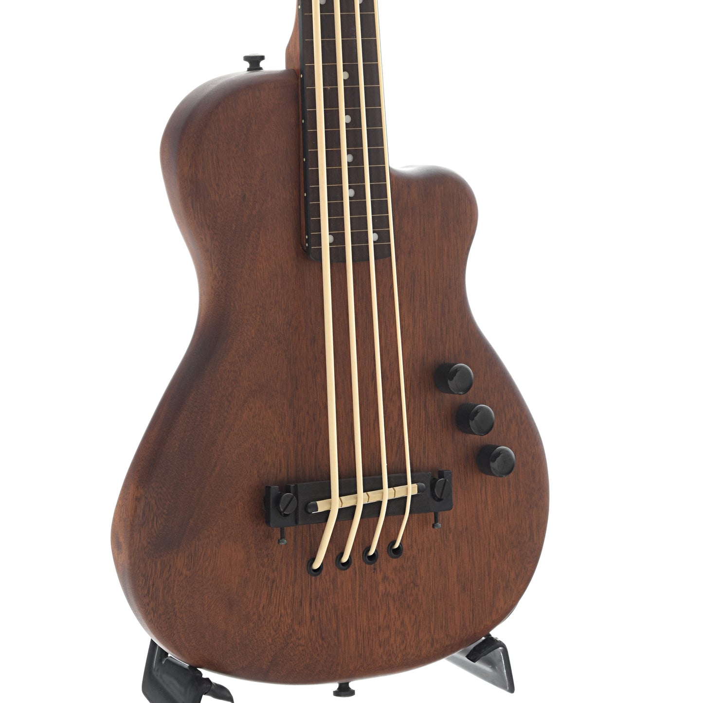 front and side of Gold Tone ME-BassFL Fretless Solid Body MicroBass