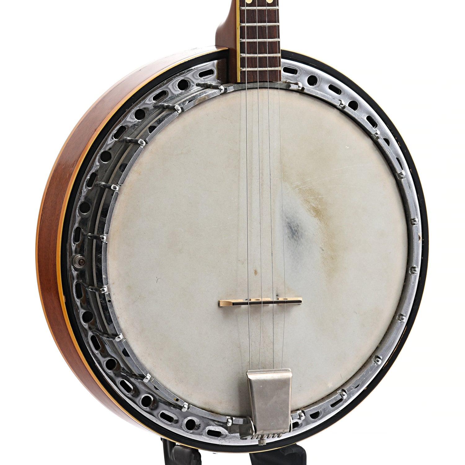 Banjo Instrument