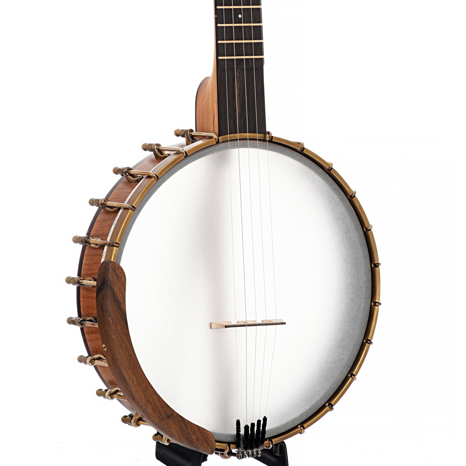 Front and side of Ode Magician 11" Openback Banjo