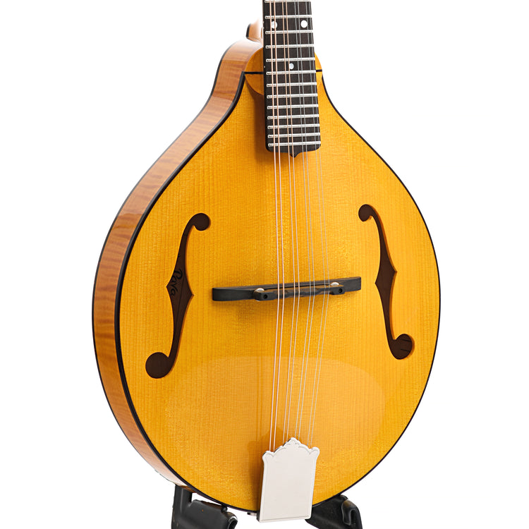Image 5 of Pava Player Model A-Mandolin & Case, Amber - SKU# PPL-AMBER : Product Type Mandolins : Elderly Instruments