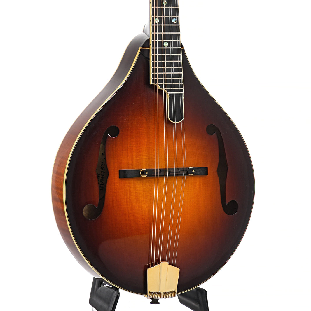 Shop Used Mandolins for Sale | Elderly Instruments