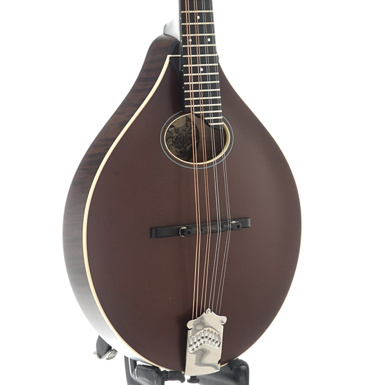 Image 3 of Collings MT O Oval-Hole Sheraton Brown Mandolin & Case, Ivoroid Binding, Satin Finish - SKU# CMTO-BI : Product Type Mandolins : Elderly Instruments