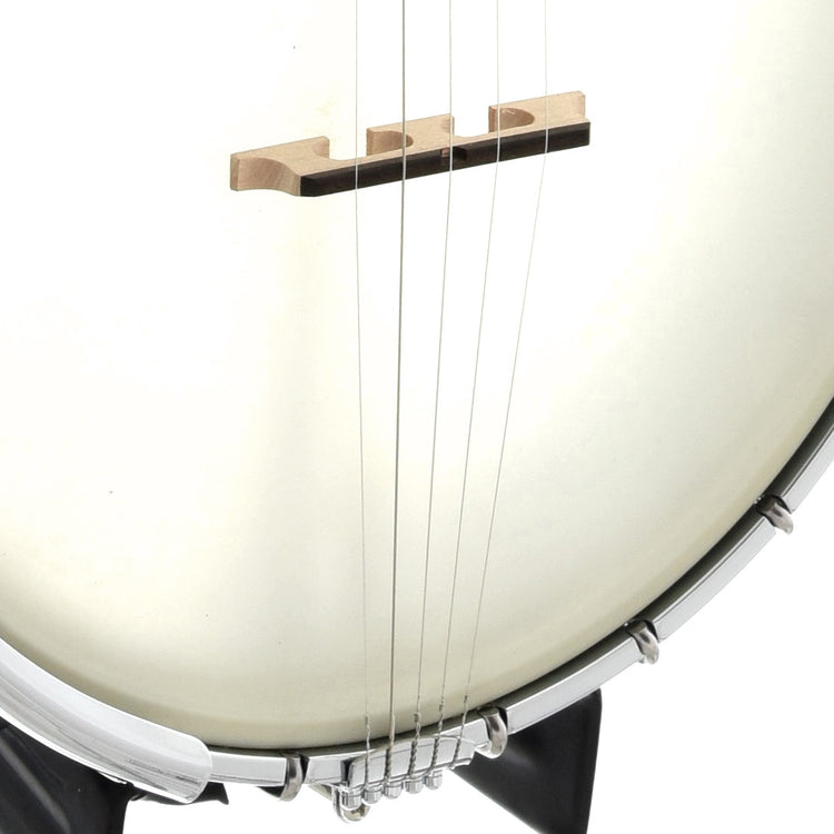 Bridge of Gold Tone WL-250 White Laydie Openback Banjo
