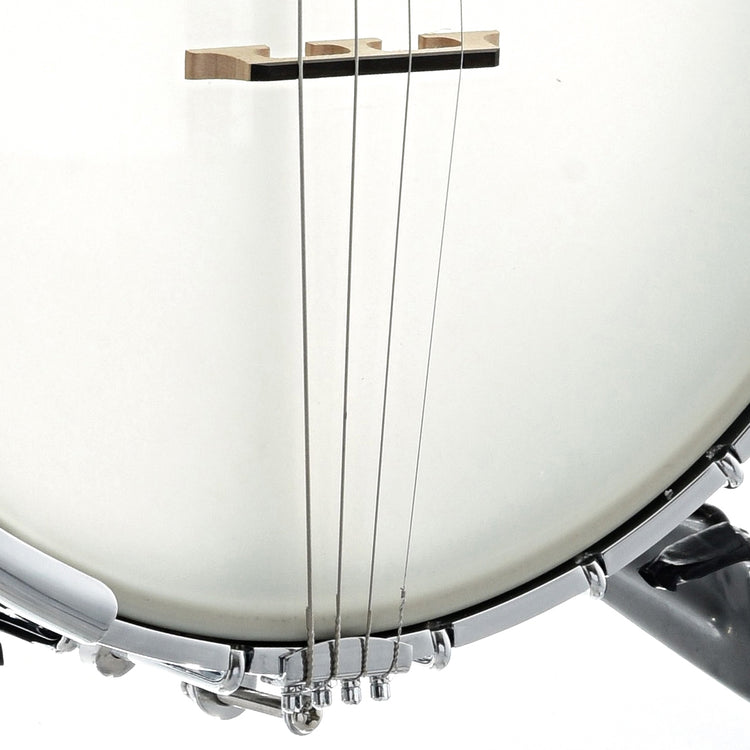 Image 3 of Gold Tone It-250 Openback Irish Tenor Banjo - SKU# GTIT250 : Product Type Tenor & Plectrum Banjos : Elderly Instruments