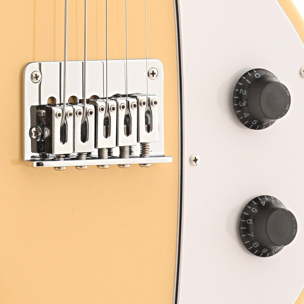 Gold Tone Solid Body Electric Mandolin & Gigbag, 5String