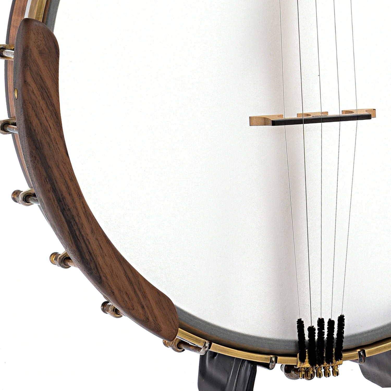 Armrest, tailpiece and bridge of Ode Magician 13" Openback Banjo