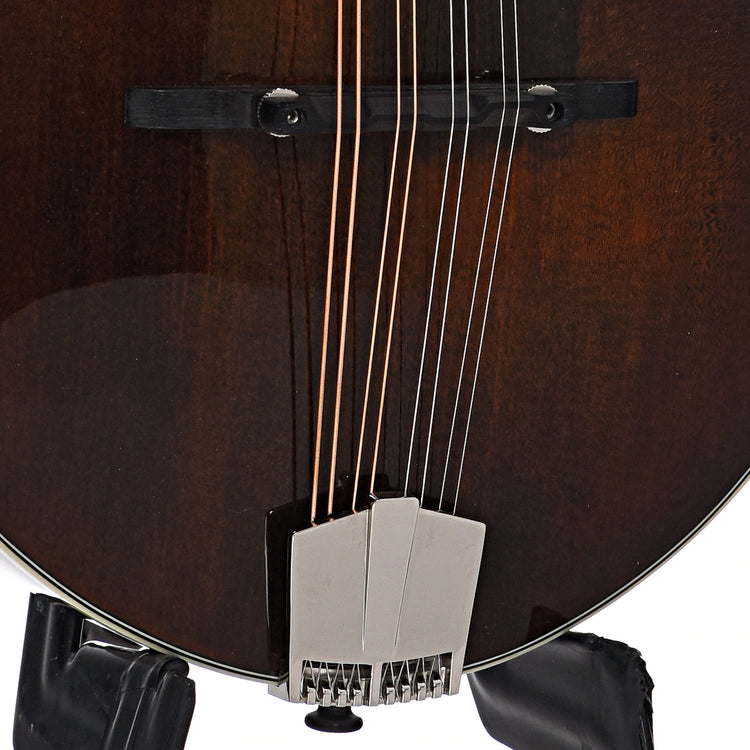 Tailpiece and bridge of Eastman MD514 Classic Mandolin
