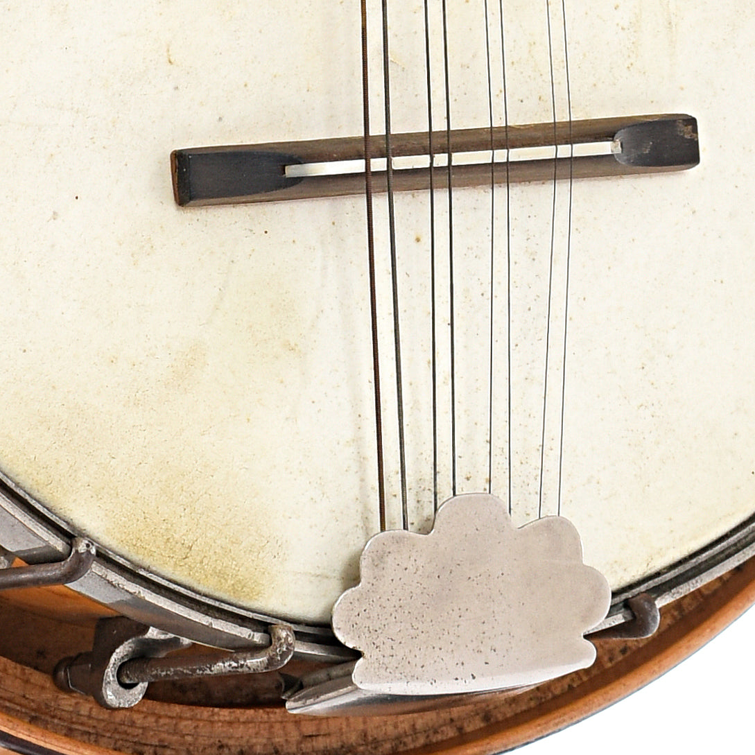 Tailpiece and Bridge of Rex (UNMARKED) Banjo-Mandolin 