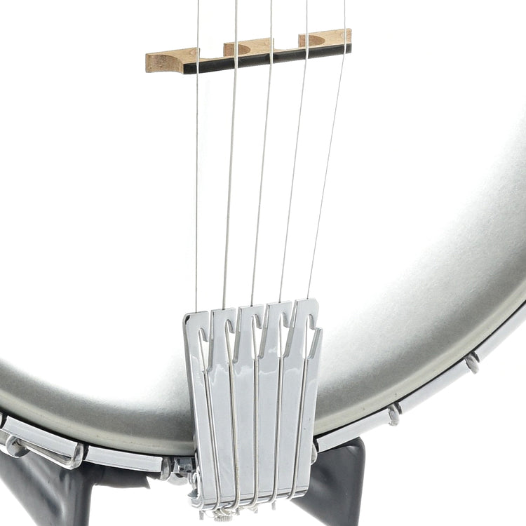 Bridge of Gold Tone CEB-5 5-String Cello Banjo 