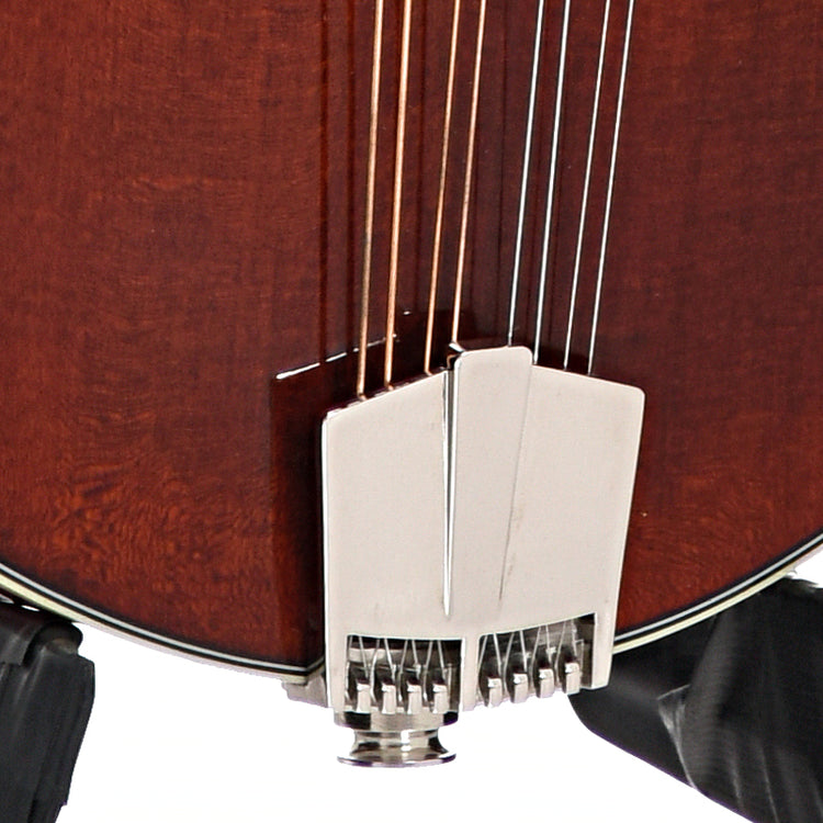 Tailpiece of Eastman MD615 Classic Mandolin