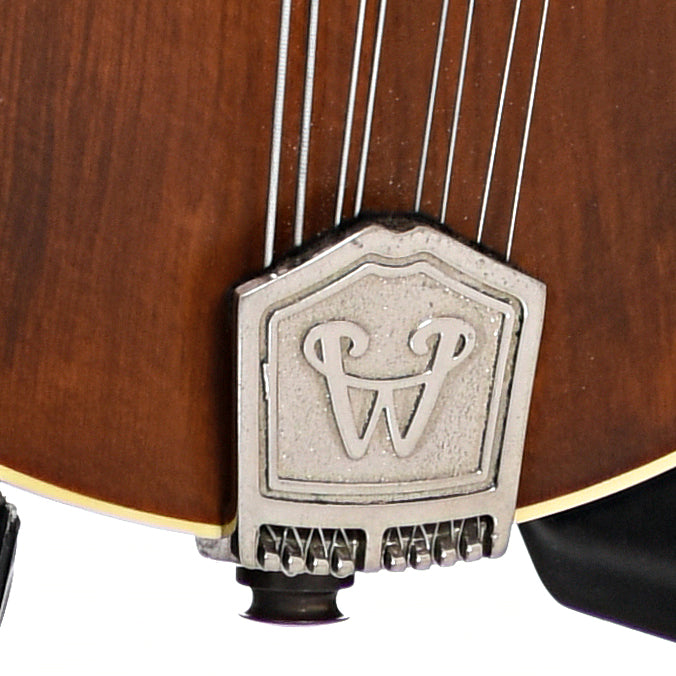 Tailpiece of Weber Bitterroot Octave Mandolin 