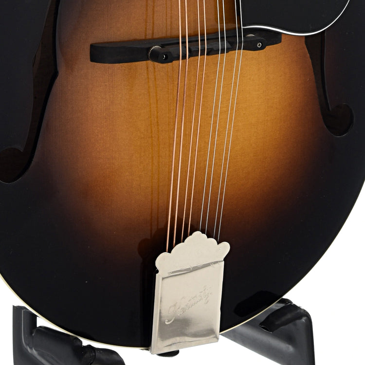 Tailpiece of Kentucky KM-150 Mandolin, A-Model