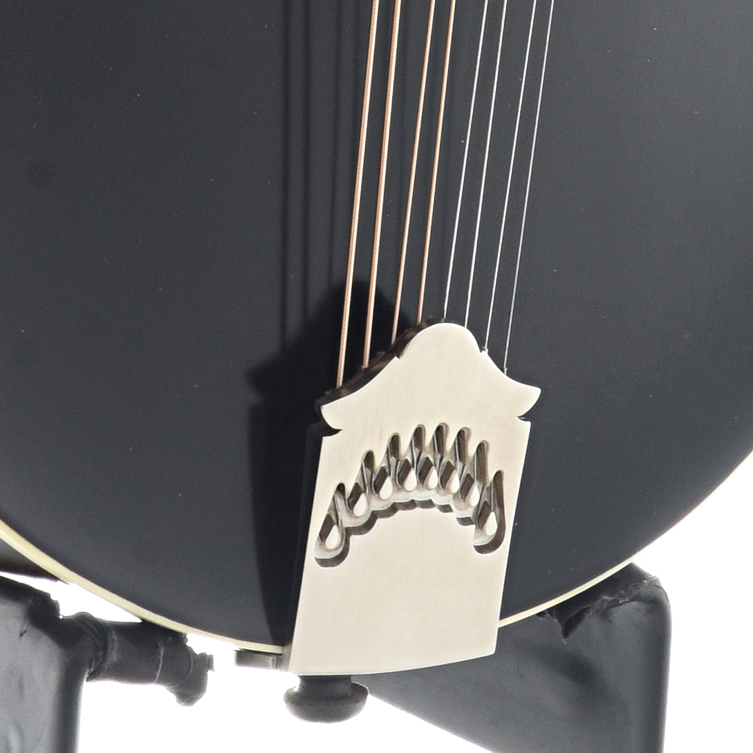 Tailpiece of Northfield Workshop S-Series NFS-F5 Blacktop Mandolin