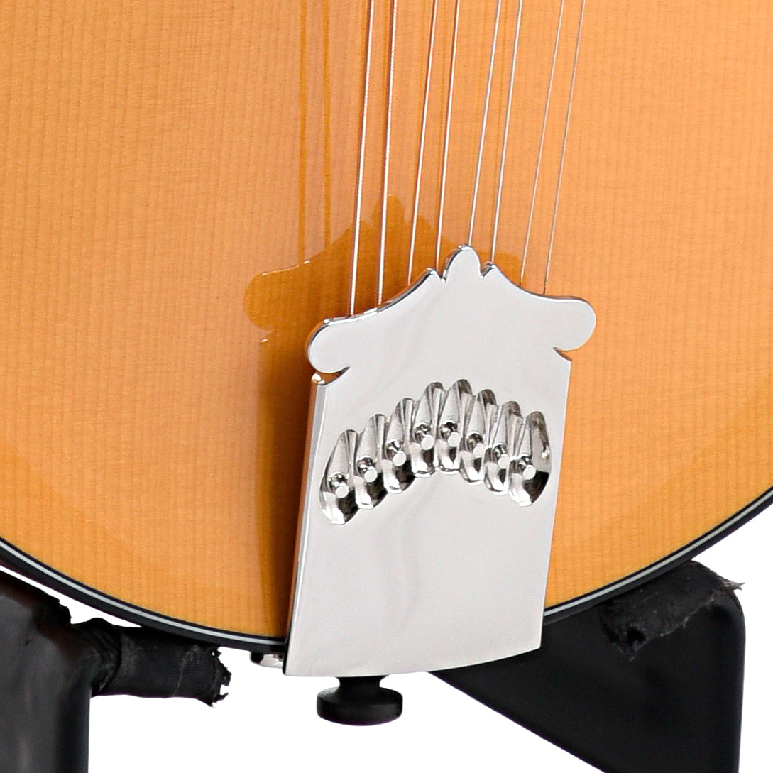 Image 4 of Collings MT2 A-Model Mandolin & Case, Honey Amber - SKU# CAM2-HA : Product Type Mandolins : Elderly Instruments