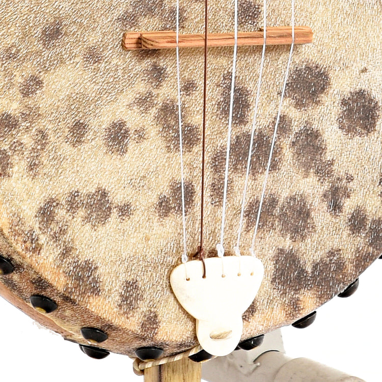 Image 4 of Menzies Fretless Gourd Banjo #476- SKU# MGB85-476 : Product Type Other Banjos : Elderly Instruments