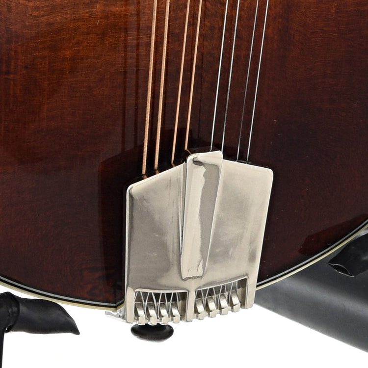 Tailpiece of Eastman MD505 Classic Mandolin 