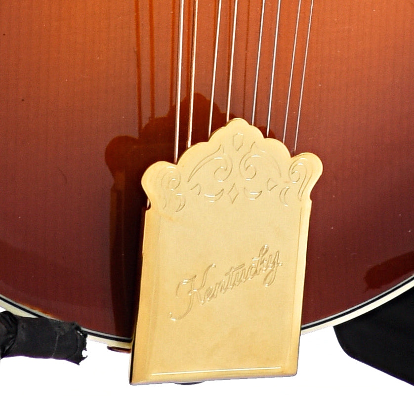 tailpiece of Kentucky KM-855 F-Style Mandolin