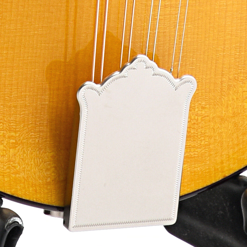 Image 6 of Pava Player Model A-Mandolin & Case, Amber - SKU# PPL-AMBER : Product Type Mandolins : Elderly Instruments
